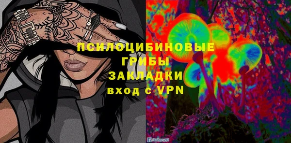 дурь Лиски