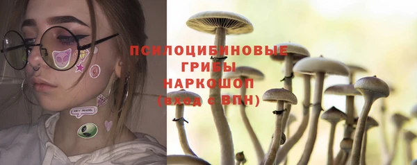 гашик Лихославль
