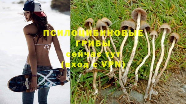 гашик Лихославль
