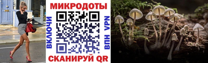 Галлюциногенные грибы Psilocybe  Липецк 